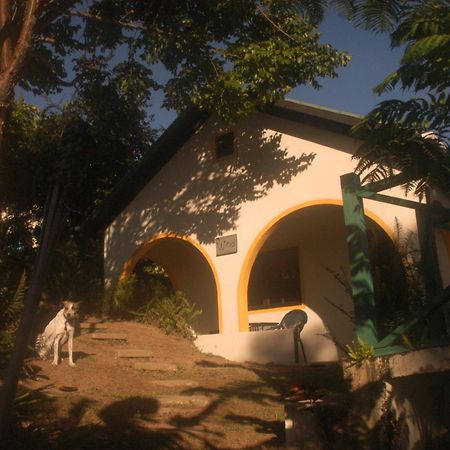 Lime Tree Farm, Blue Mountains Villa Mavis Bank Esterno foto