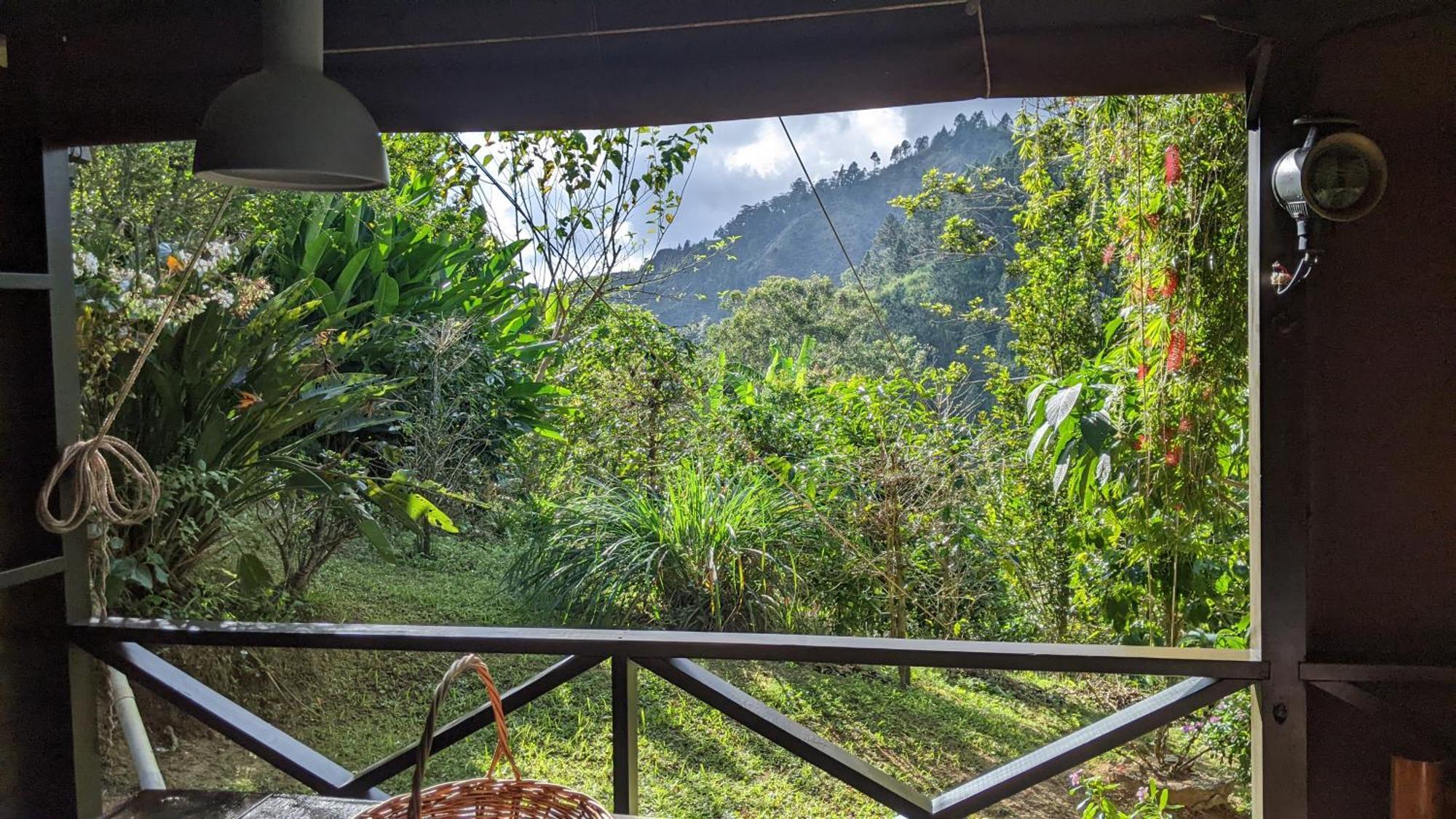 Lime Tree Farm, Blue Mountains Villa Mavis Bank Esterno foto