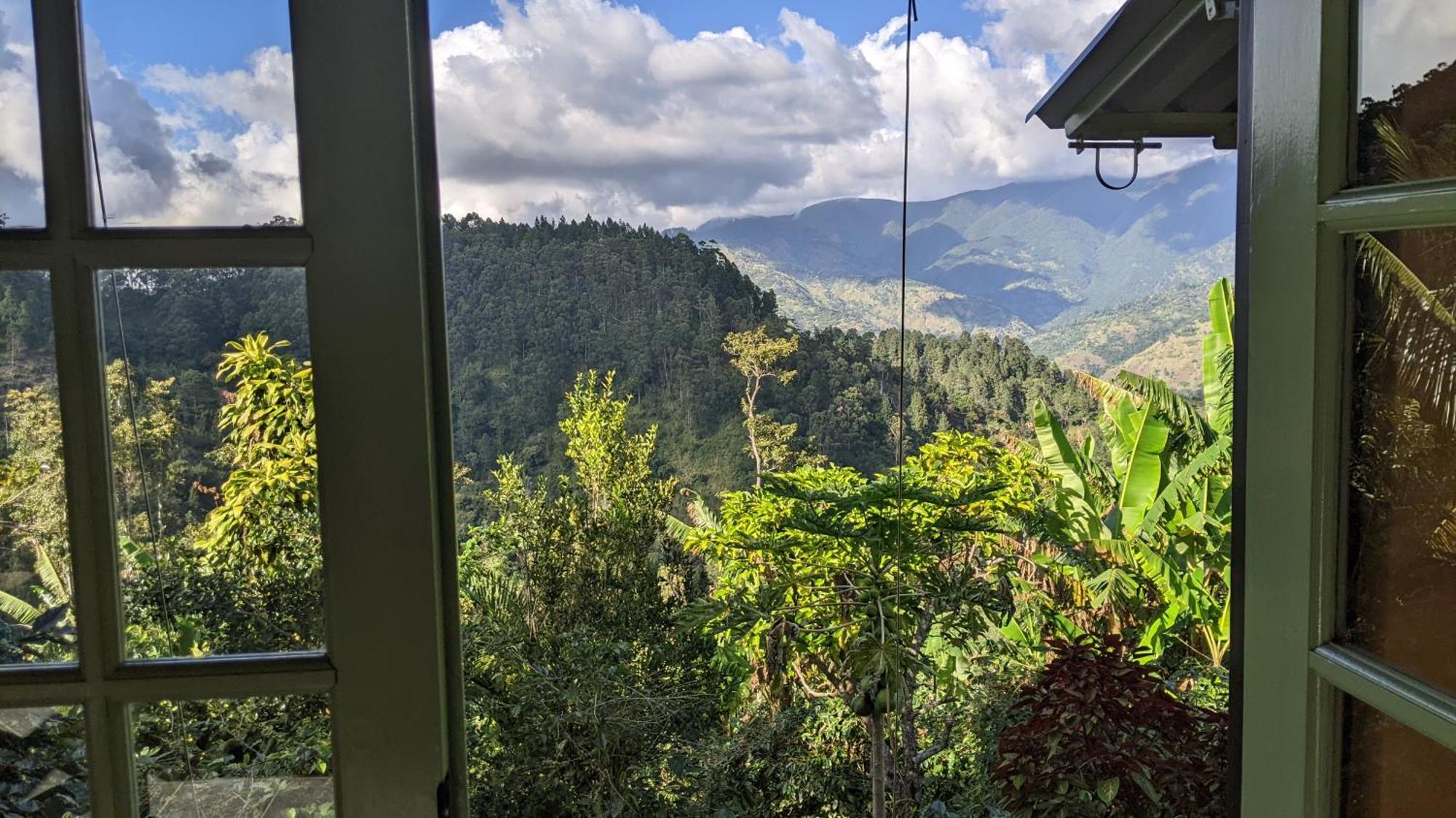 Lime Tree Farm, Blue Mountains Villa Mavis Bank Esterno foto