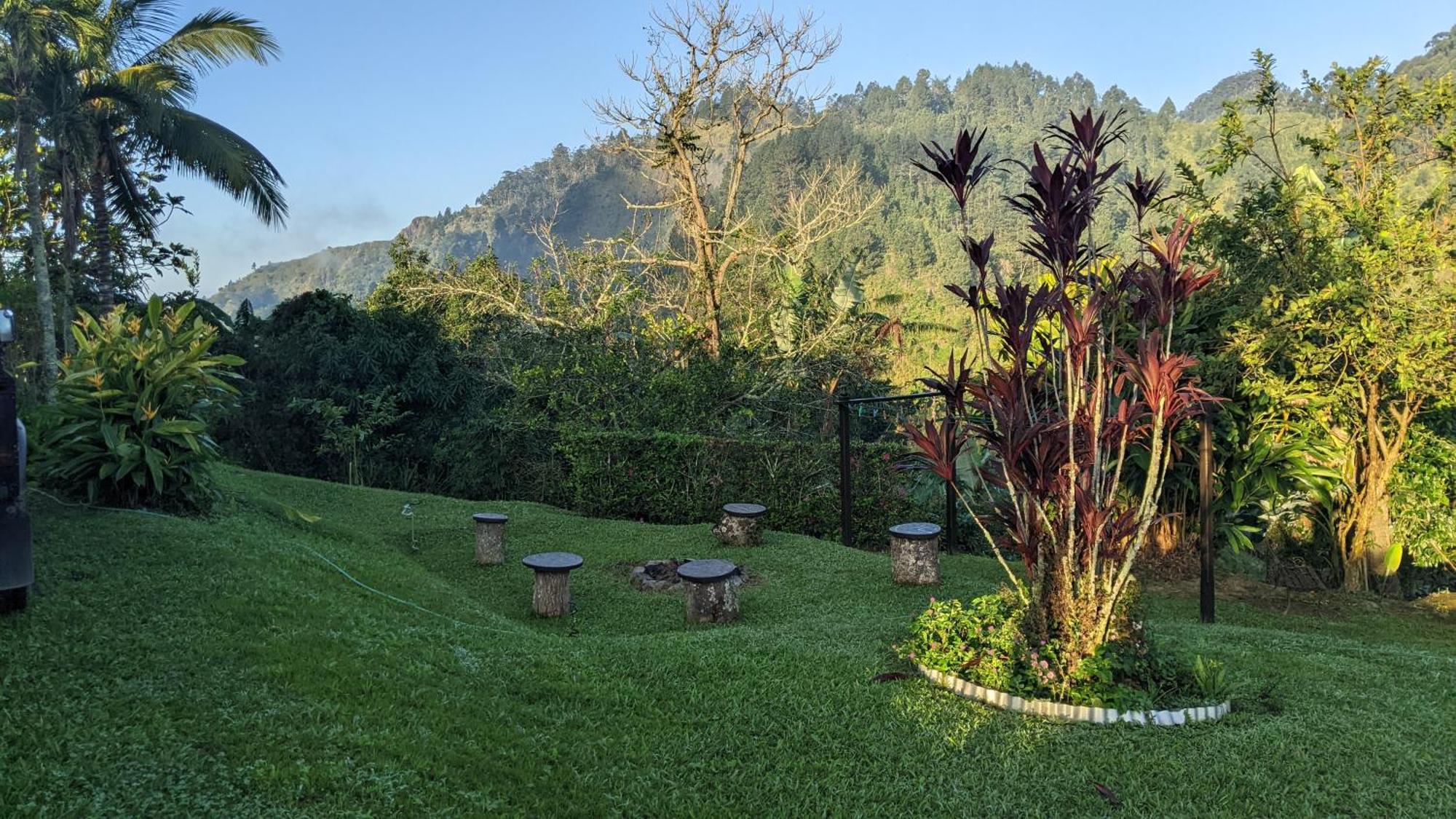 Lime Tree Farm, Blue Mountains Villa Mavis Bank Esterno foto