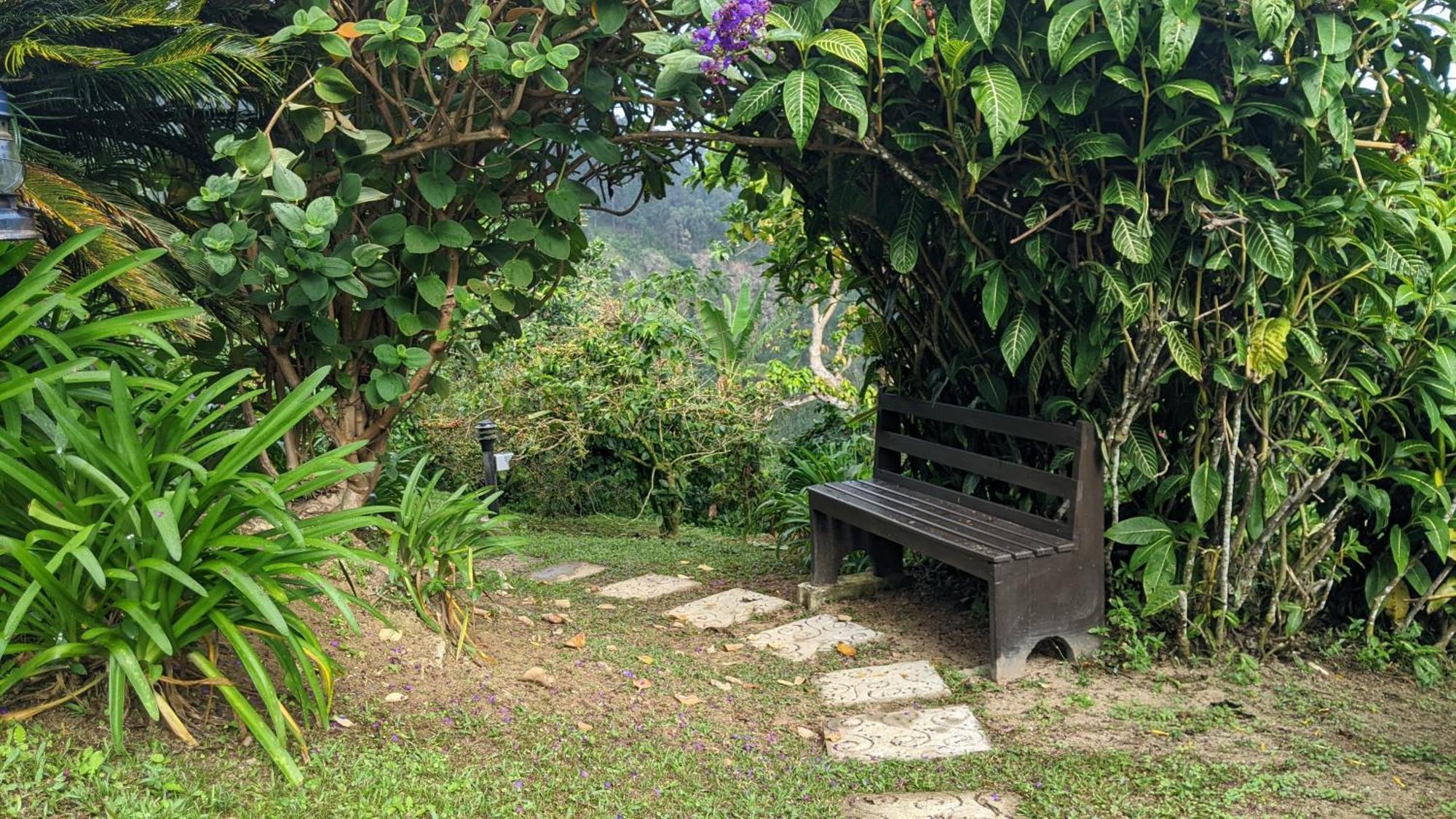 Lime Tree Farm, Blue Mountains Villa Mavis Bank Esterno foto